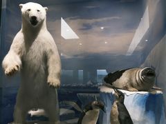 -国家自然博物馆