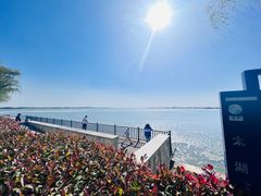 -苏州太湖国家湿地公园