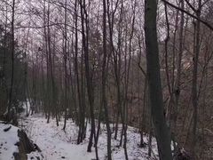 -崂山巨峰游览区
