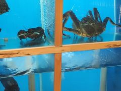 水产区-越光米贩精致料理餐厅(金鹰店)