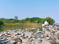 -吴淞炮台湾湿地森林公园烧烤区
