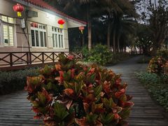 -中澳友谊花园