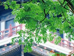 -宜兴龙背山森林公园