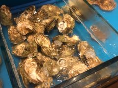 -火舞泰·泰式海鲜火锅餐厅(世纪城店)