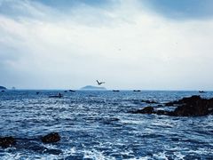 -银沙滩浴场