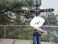 -铁山坪森林公园