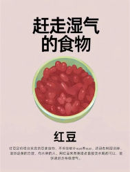 -Fundi张玉珊修身堂·indiba·BTL科技瘦身