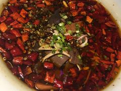 -猫头婴小酒馆FUN OWL(1912店)