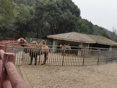-无锡动物园·太湖欢乐园
