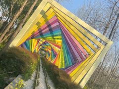 -合肥滨湖国家森林公园