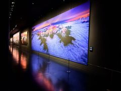 -罗红摄影艺术馆