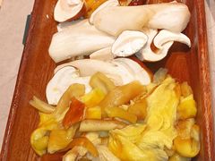 菌菇拼盘-芸山季·云南野生菌火锅(宝能环球汇店)