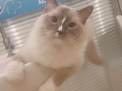 -美迦爱-牙专科·兔科·骨科诊疗中心(北苑店)