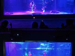 -顺德南宏海立方海洋公园