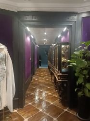 -鼎极摄影(蓝色港湾店)