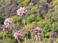 -五女峰国家森林公园