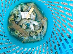 -范饭椰林川湘味海鲜·椰子鸡(三亚湾椰梦长廊店)