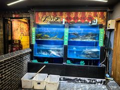-鸽子刘铁锅炖鱼(劲松店)