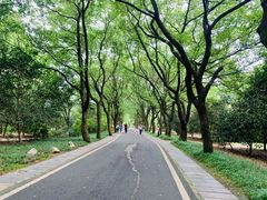 -东湖落雁景区