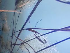 -美悦影院足道·自助美食·轻奢SPA(闽东广场店)
