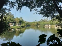 -老木棉·匠园
