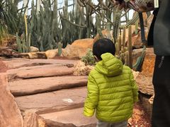 -南通洲际绿博园