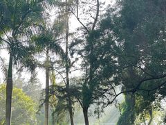 -玫瑰海岸文化旅游度假区