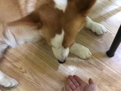 -韩通韩国语学院(虹口校区)