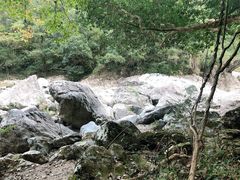-龙湾潭国家森林公园