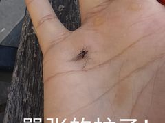 -小意思咖啡店(草桥店)