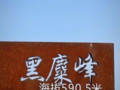 -长沙黑麋峰国家森林公园