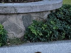 -广州中山纪念堂