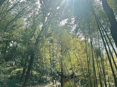 -灵岩山风景区