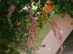 -松沪名灶·豆浆鱼头·新上海菜(飞航吾悦广场店)