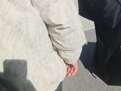 -南岳大庙
