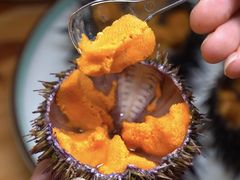 -海胆小馆(东北水饺·春柳店)