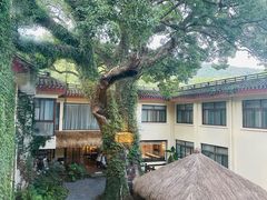 -普陀山雷迪森庄园