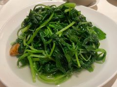 -利苑酒家(合景国际金融广场店)