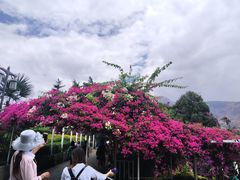 -南诏风情岛