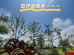 -上海滨江森林公园