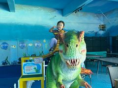 -秦皇岛乐岛海洋王国