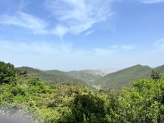 -金龙寺国家森林公园
