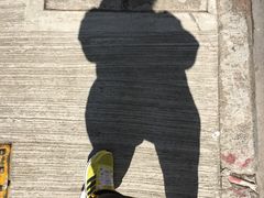 -香港佐治五世纪念公园