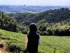 -敬亭山风景名胜区