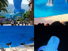 -珠海长隆海洋王国