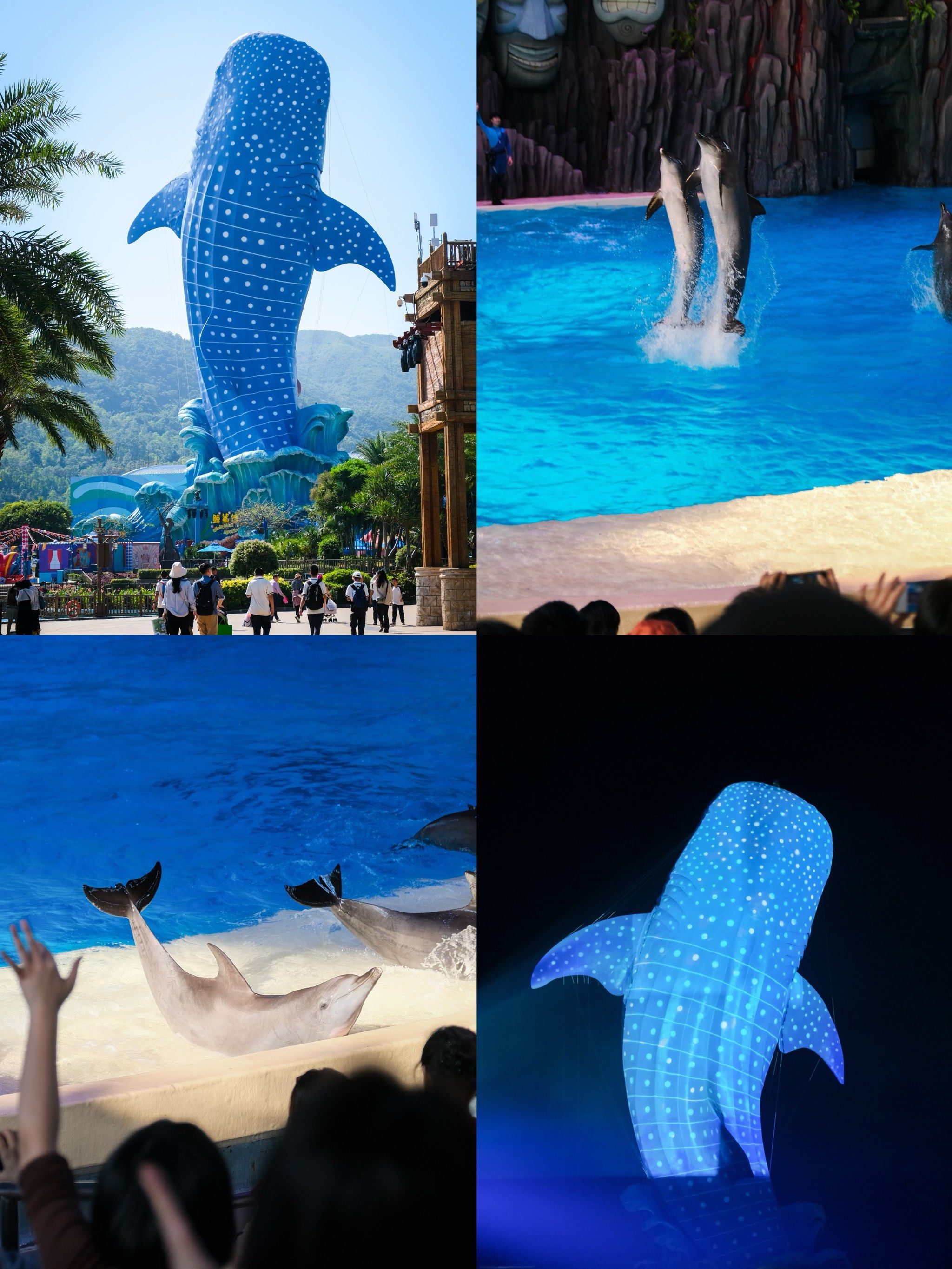沉浸在海底世界 | 珠海长隆海洋王国