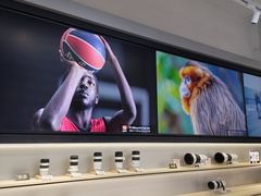 -Sony Store 索尼(上海淮海中路店)
