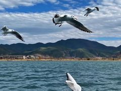 -丽江泸沽湖景区