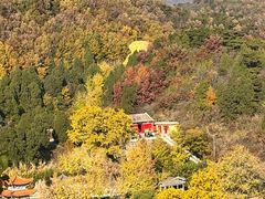 -遵化市禅林寺古银杏风景园