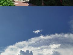 -花海间·即刻露营